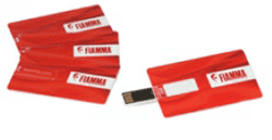 Afbeelding van FIAMMA USB KEY 8 GB